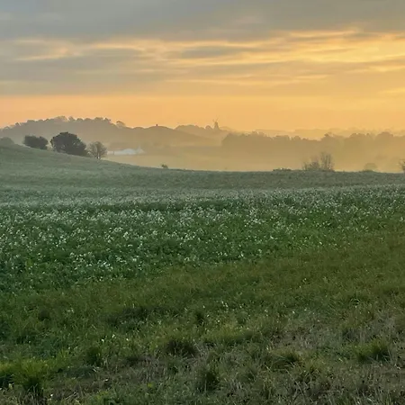 With Lovely Views In Veddinge Bakker *